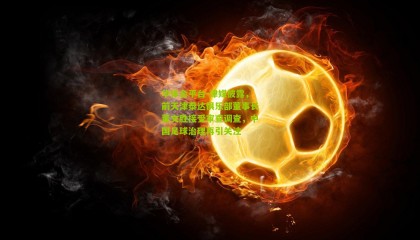 华体会平台-津媒披露，前天津泰达俱乐部董事长董文胜接受审查调查，中国足球治理再引关注