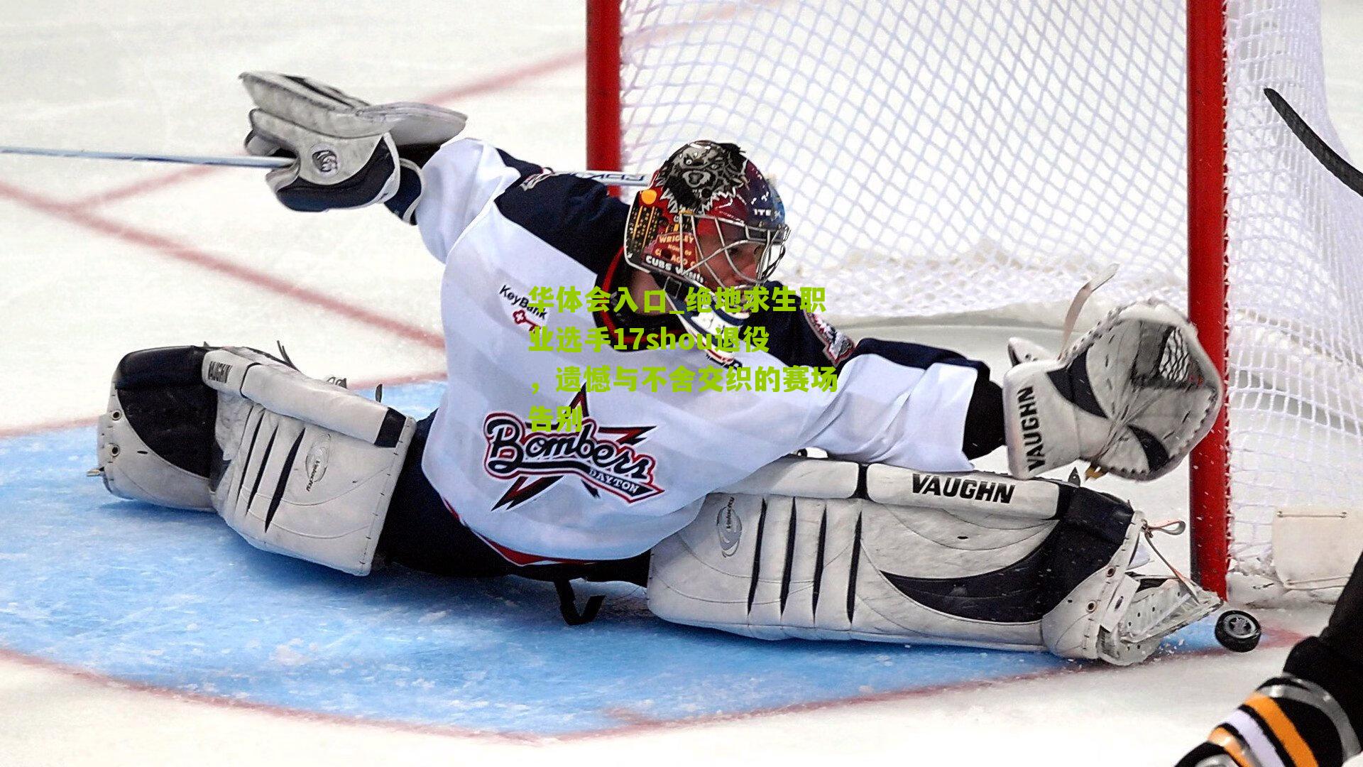 绝地求生职业选手17shou退役，遗憾与不舍交织的赛场告别